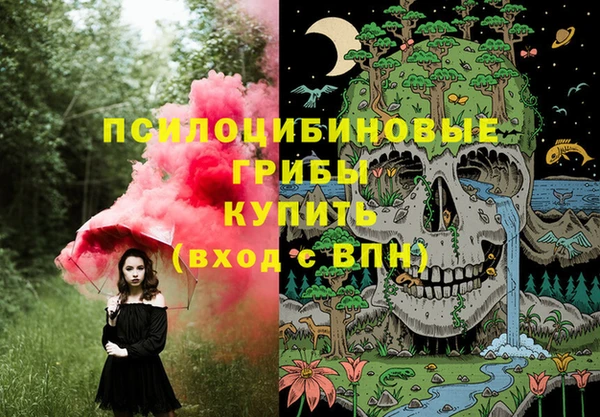 крисы Вяземский