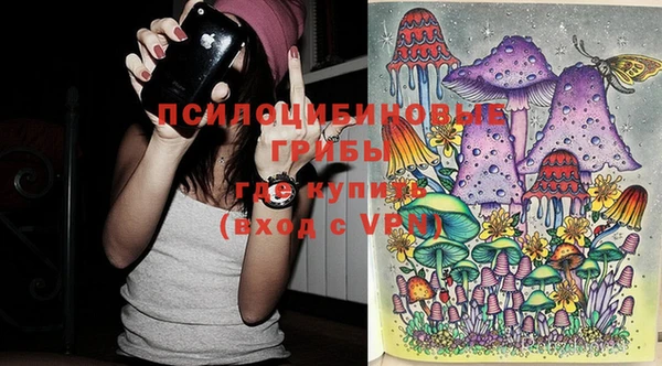 дурь Вязники