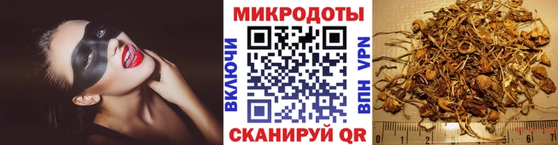 MEGA сайт  дарнет шоп  Коломна  Галлюциногенные грибы MAGIC MUSHROOMS 